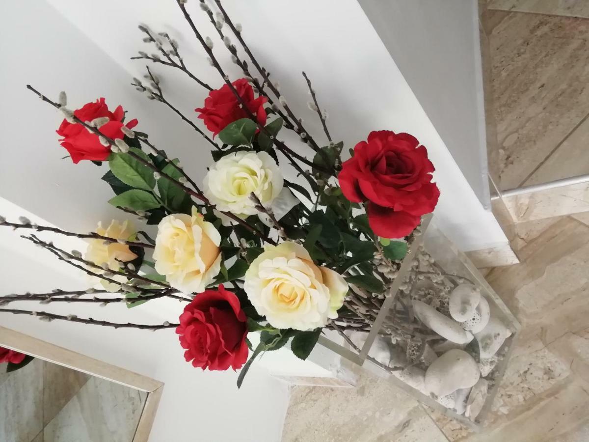 Studio Rose Пула Экстерьер фото